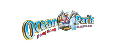 Project Name